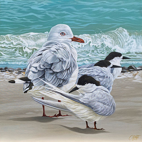 Craig Platt nz bird art, Tides Edge, oil on canvas